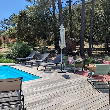 Avec Piscine A 700m De La זונזה
